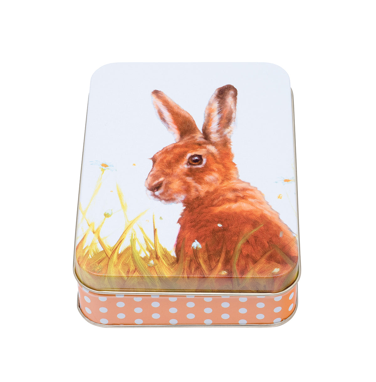 Best Friends Hare Small Rectangle Tin