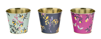 Sara Miller Orchard Plant Pot Tins Set Of 3