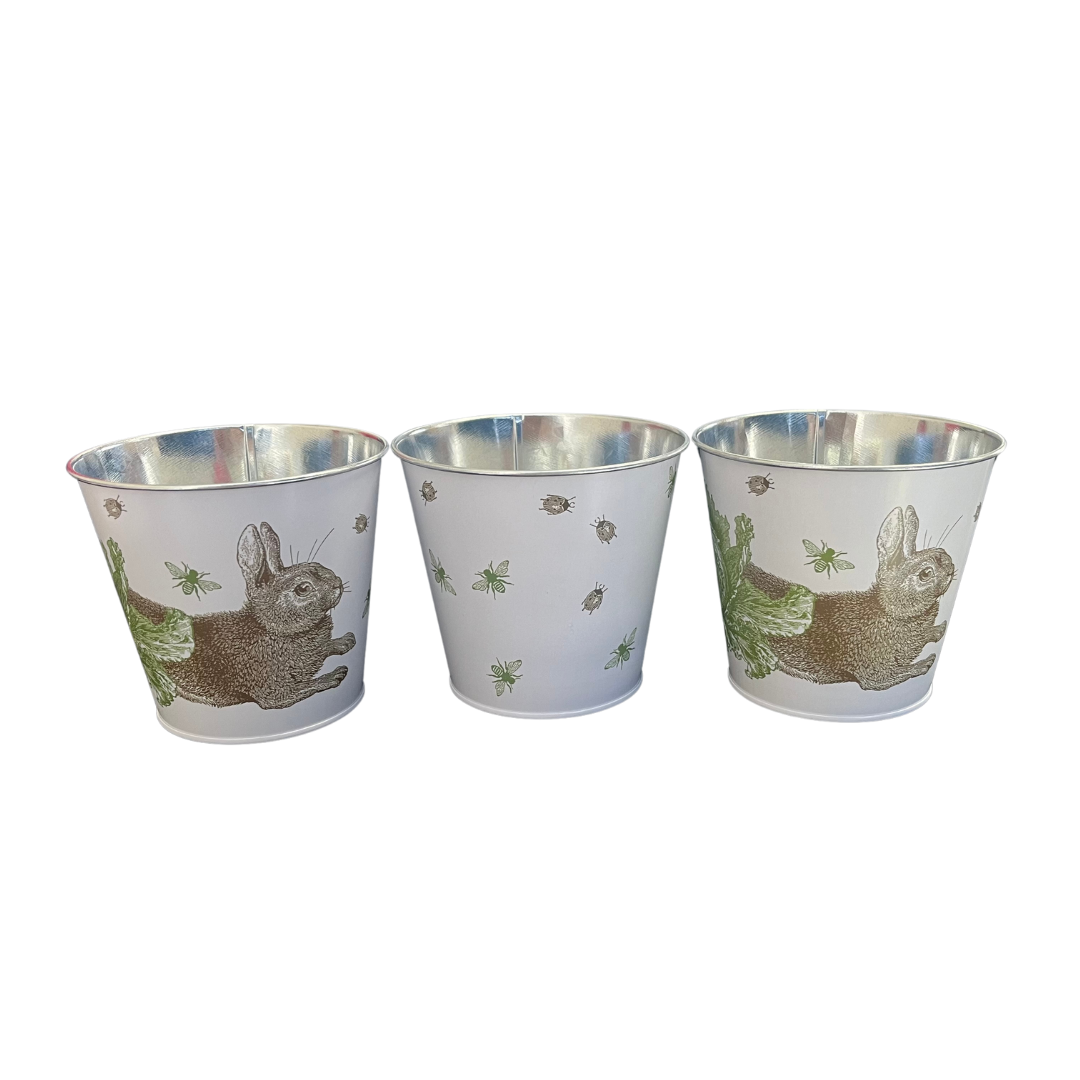 Thornback & Peel, Rabbit & Cabbage Plant Pot Tins Set Of 3