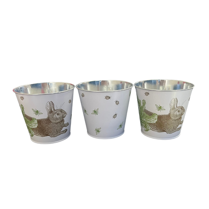 Thornback & Peel, Rabbit & Cabbage Plant Pot Tins Set Of 3